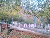 Friedhof Burg